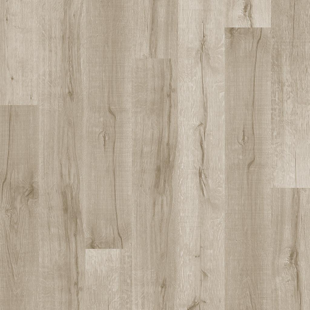 Carvalho Pastis_linha Vision