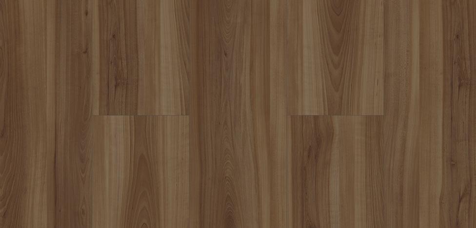 Córdoba - Linha Link